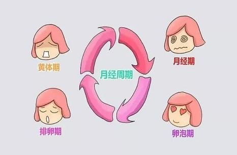 月经期拉肚子是怎么回事,经期腹泻是什么原因造成的