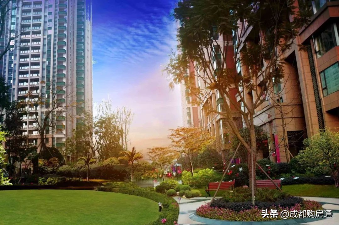 从500人报名到中签率15.15%，南湖旁低调大盘为何越来越“香”？