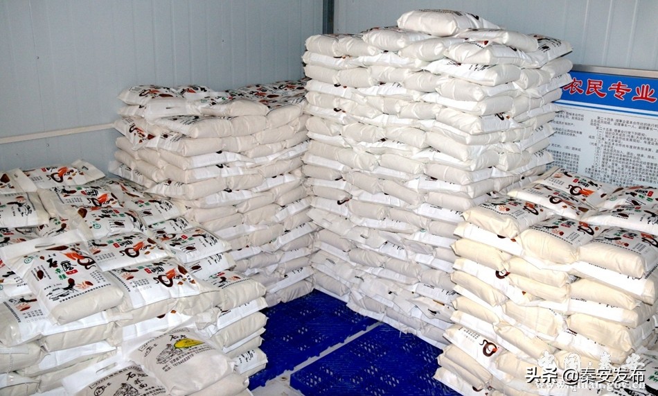 致富新项目快速盈利方法,赚钱新模式创业项目