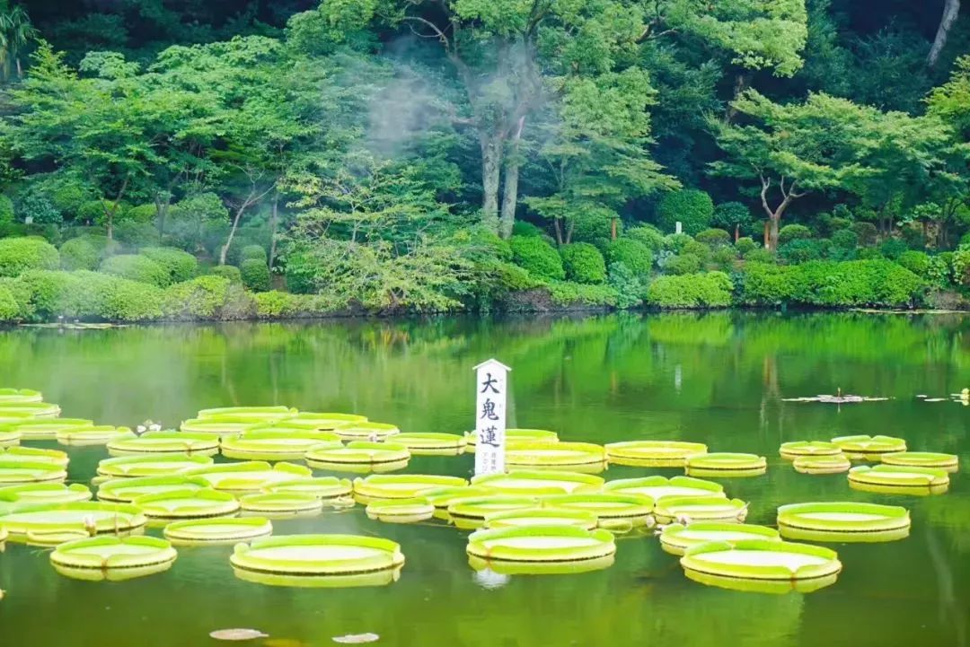 日本地狱谷温泉脏不脏,日本三大温泉之一有名的草津温泉