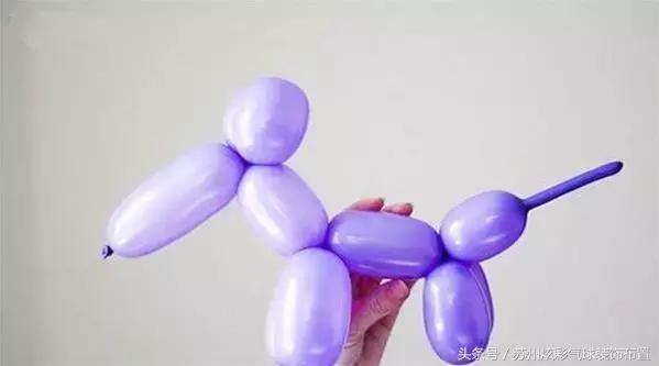 怎么折一只气球狗,用气球折小狗的教程