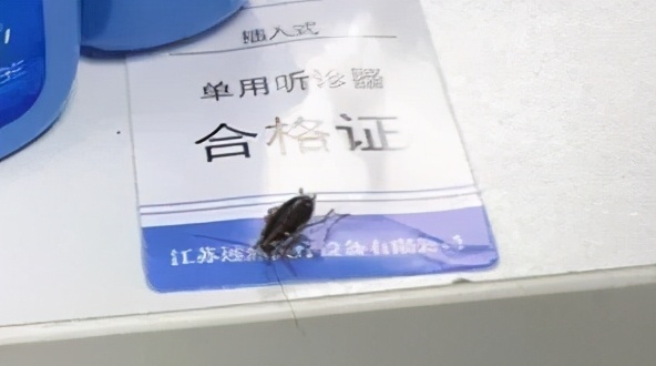 饮水机爬出蟑螂,饮水机老是有蟑螂进去怎么办
