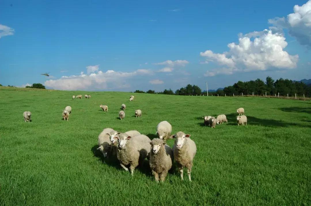 全国最宝藏的省,中国宝藏最多的省份