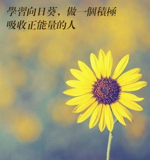 乙肝患者会找不到工作吗,乙肝患者能否去高原地区工作