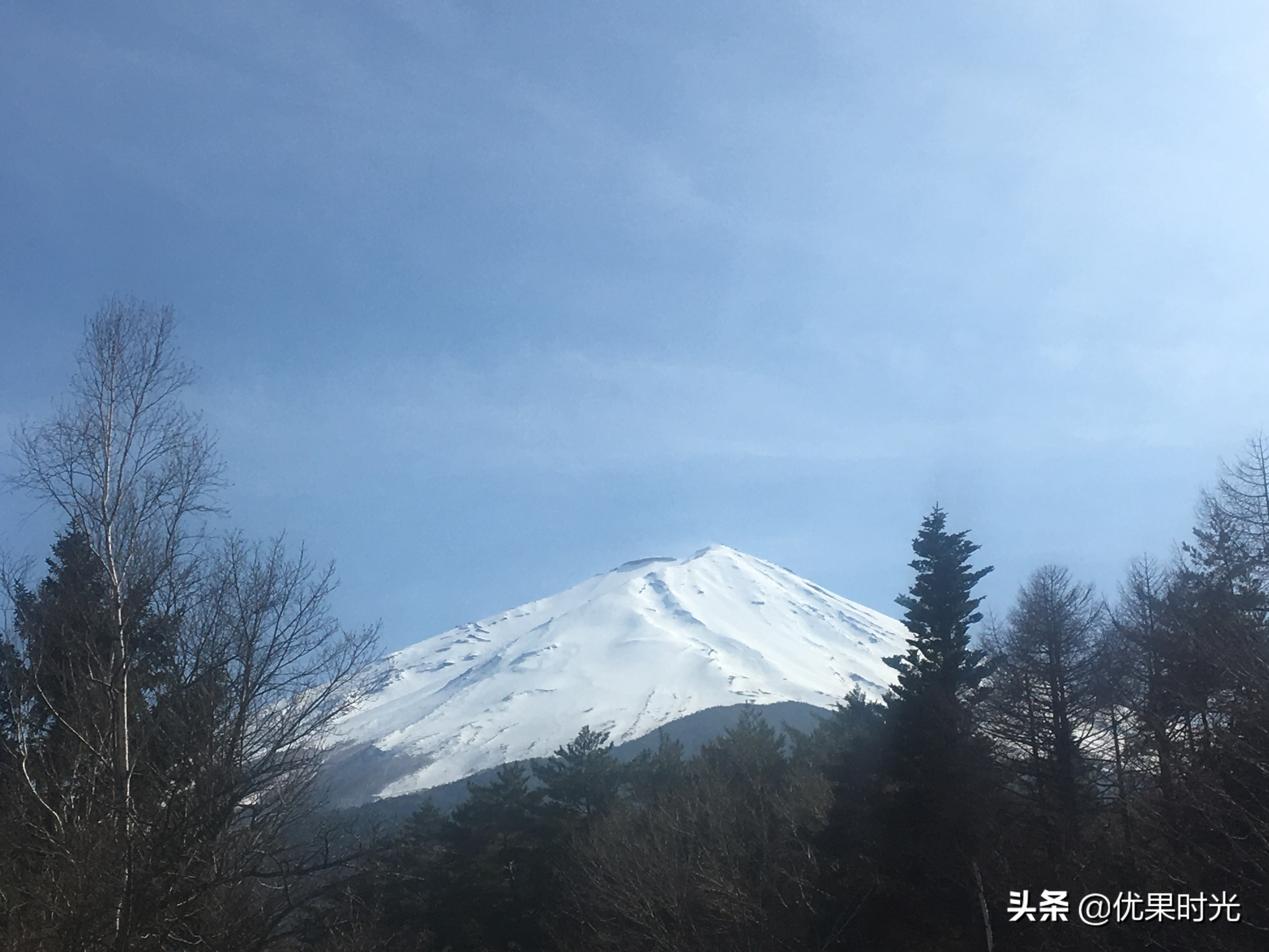 本州6日游,日本7天6晚本州之行