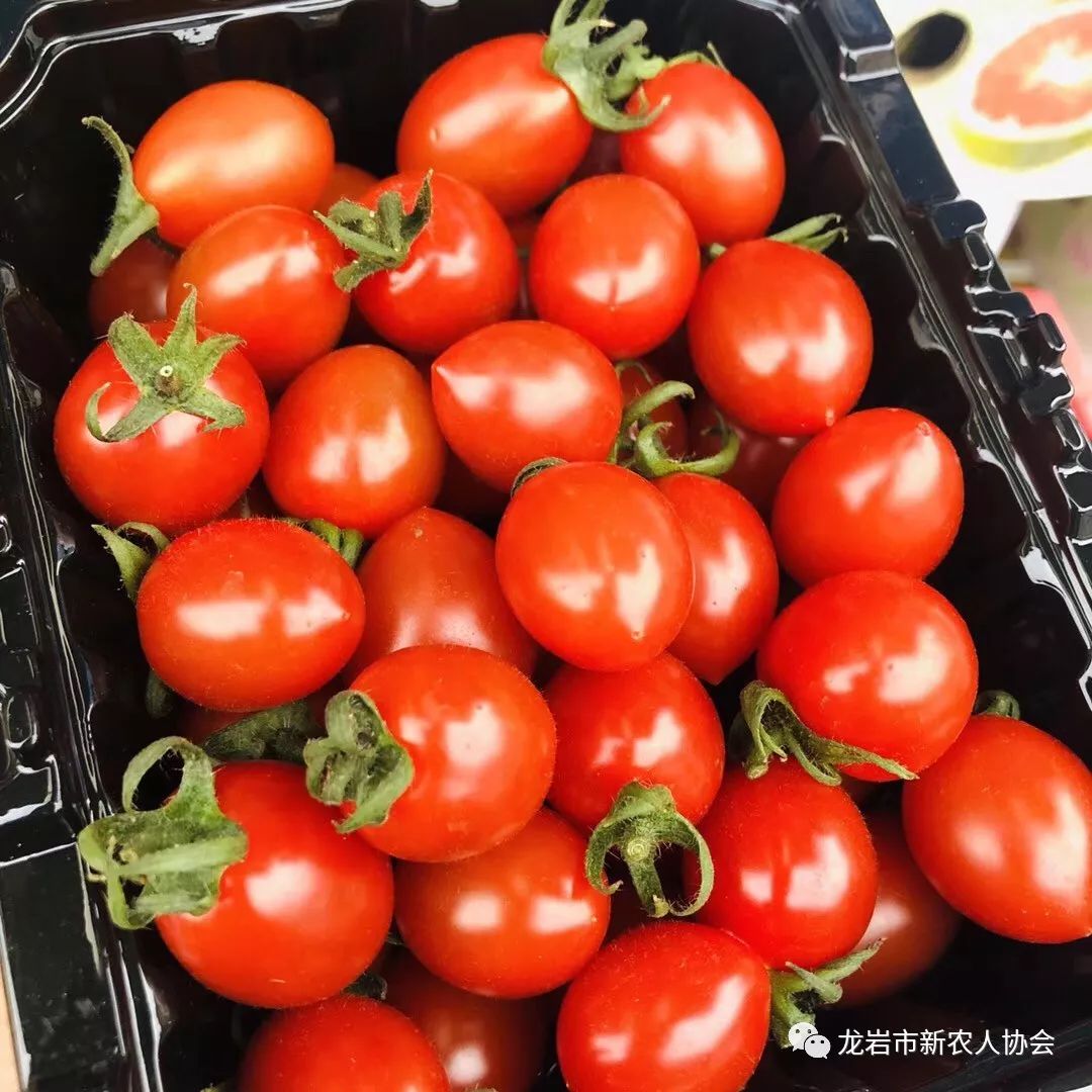 带你走进农村新民居,今日头条龙岩新农人