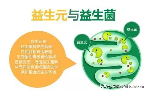 婴儿奶粉正确的配制及喂养方法,婴幼儿奶粉营养品知识讲解