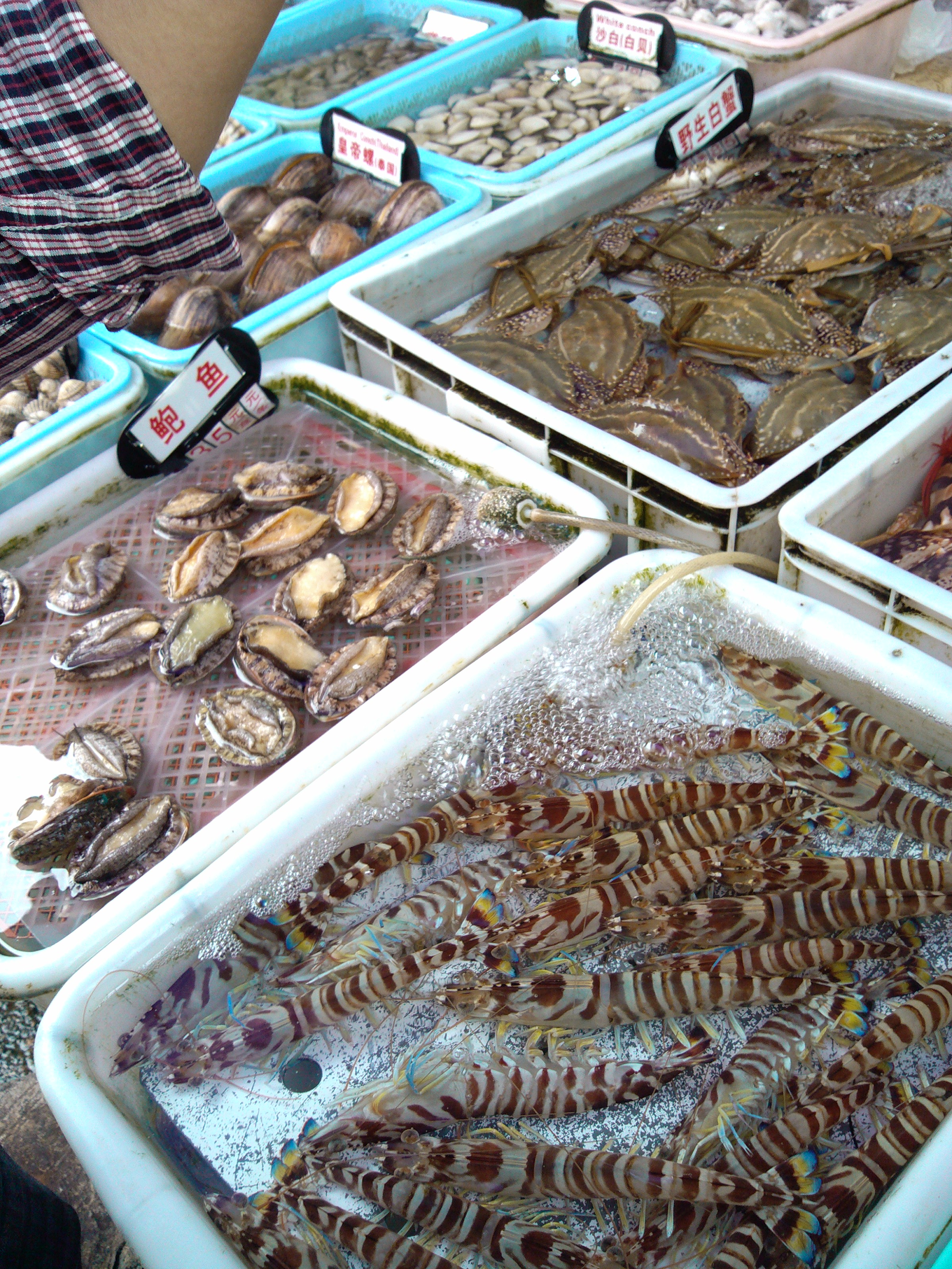 珠海海鲜游,珠海澳门环岛游时间表