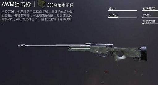 刺激战场awm一枪三级头剩一丝血,绝地求生awm爆头率