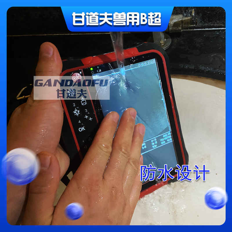 高清驴用B超马用B超测孕方法图像分析判断教程