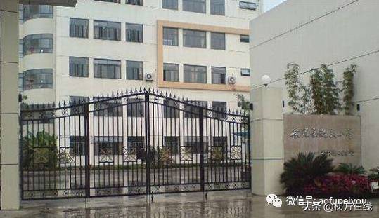 上海小学到高中的学校排名,上海最好的小学排名前十