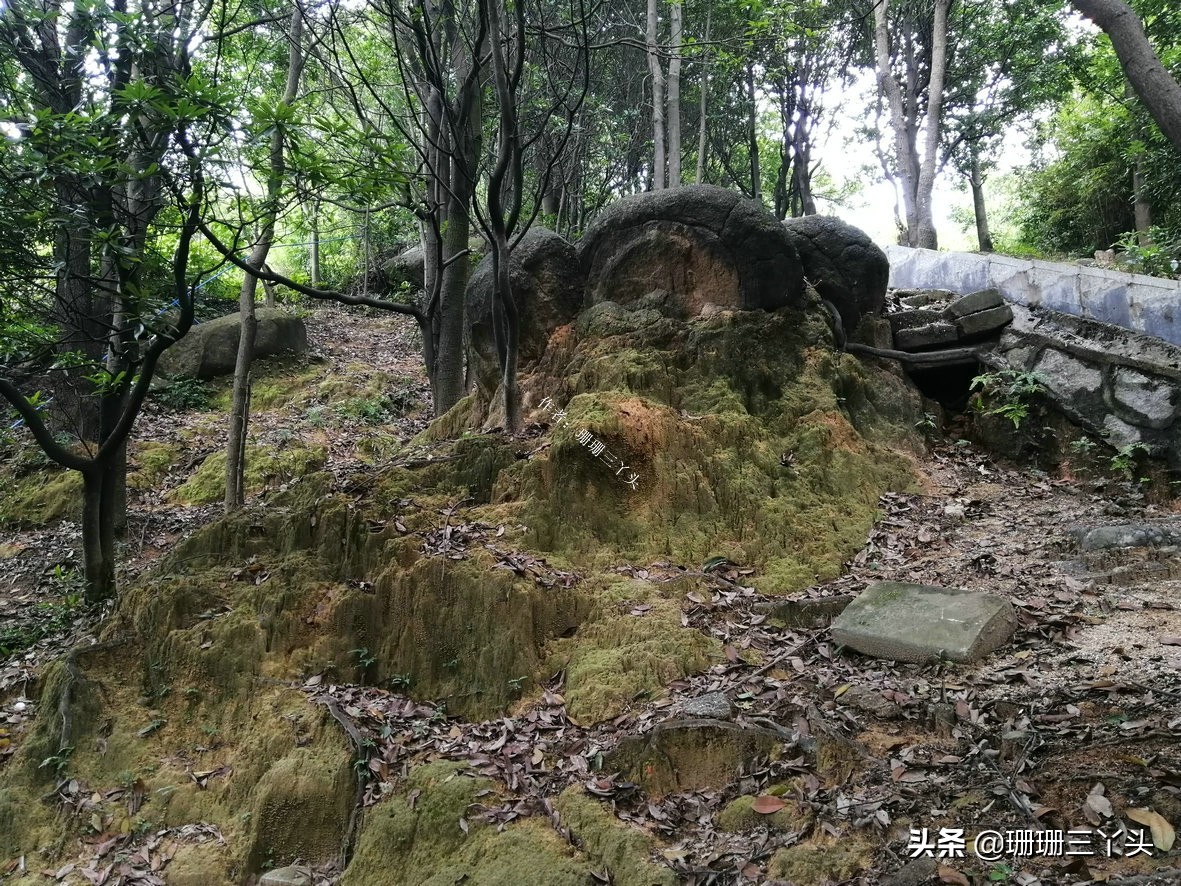 广州有座像老虎的山,广州有一座山是圆形的