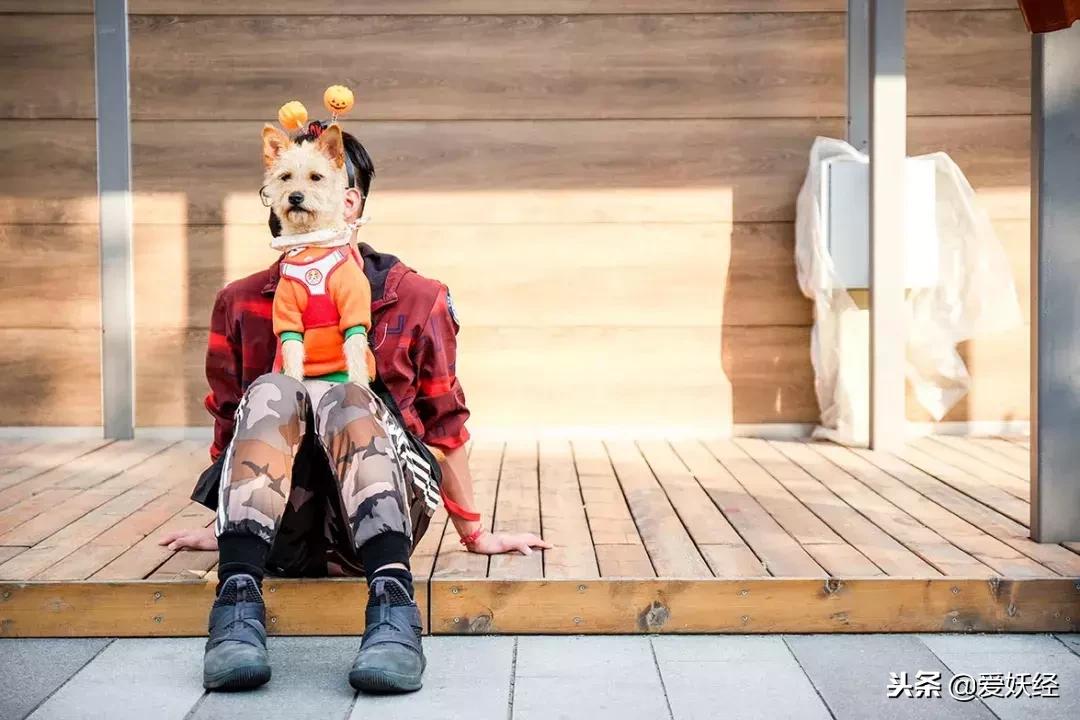 万圣节不给糖果就捣蛋男孩,万圣节不给糖就捣蛋儿童视频