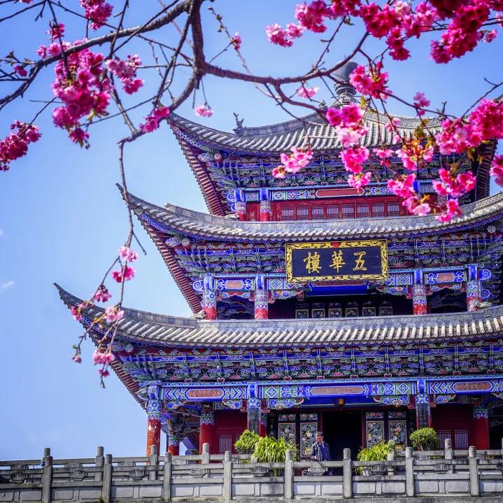 超火「全国旅游年卡」来了！25+条旅游线任性畅玩，2人只要1999元