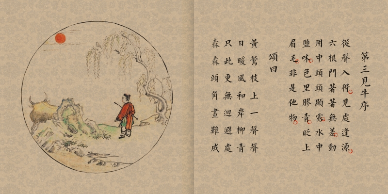 画说百年喜迎新春绘画,画说国学全套