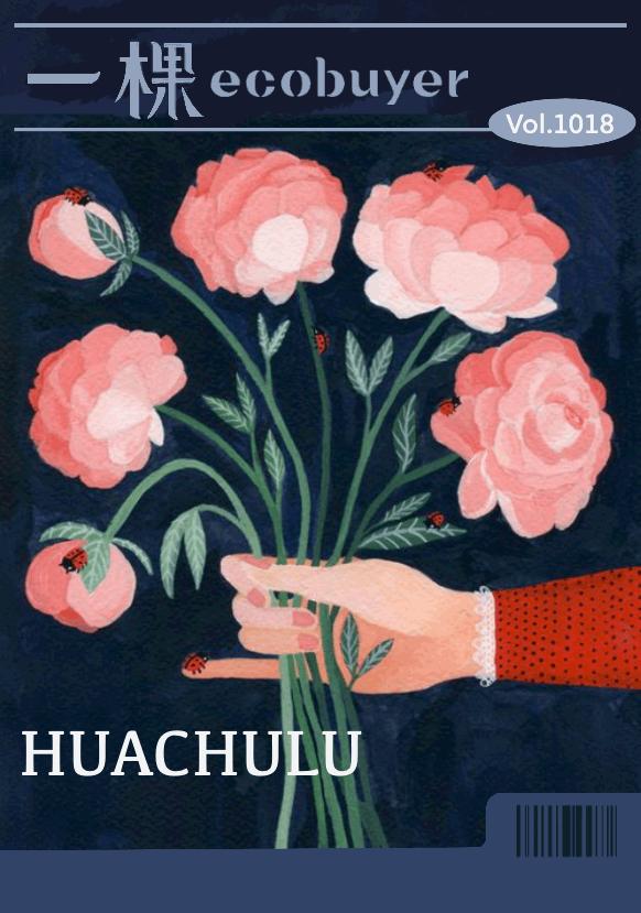 人间忽晚，但玫瑰花期永不停歇｜花初露