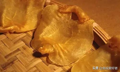 花胶最佳配方和价格,花胶应该怎样挑选