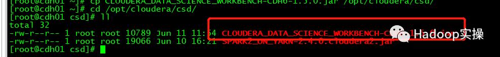 0666-6.2.0-如何在CDH6.2.0上安装CDSW1.5