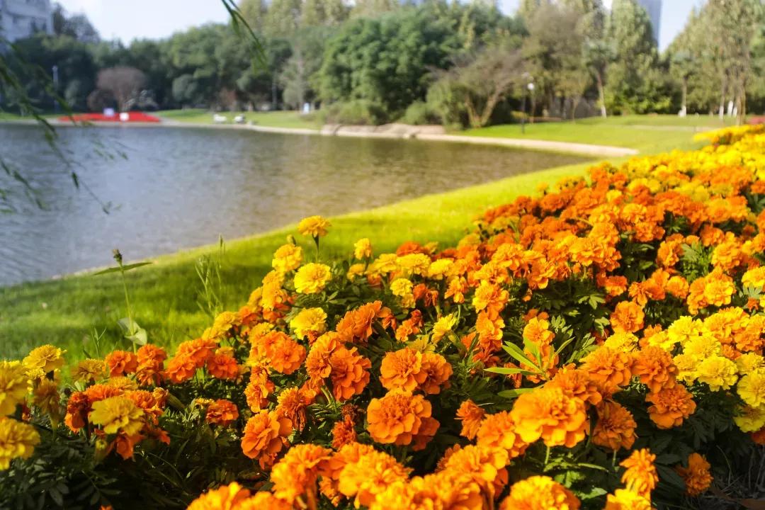 安徽13所一本大学名单,安徽省高校简介