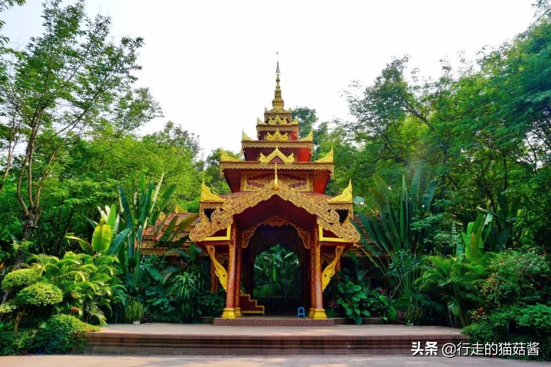 西双版纳曼听公园傣王宫简介,西双版纳曼听御花园的傣王是谁