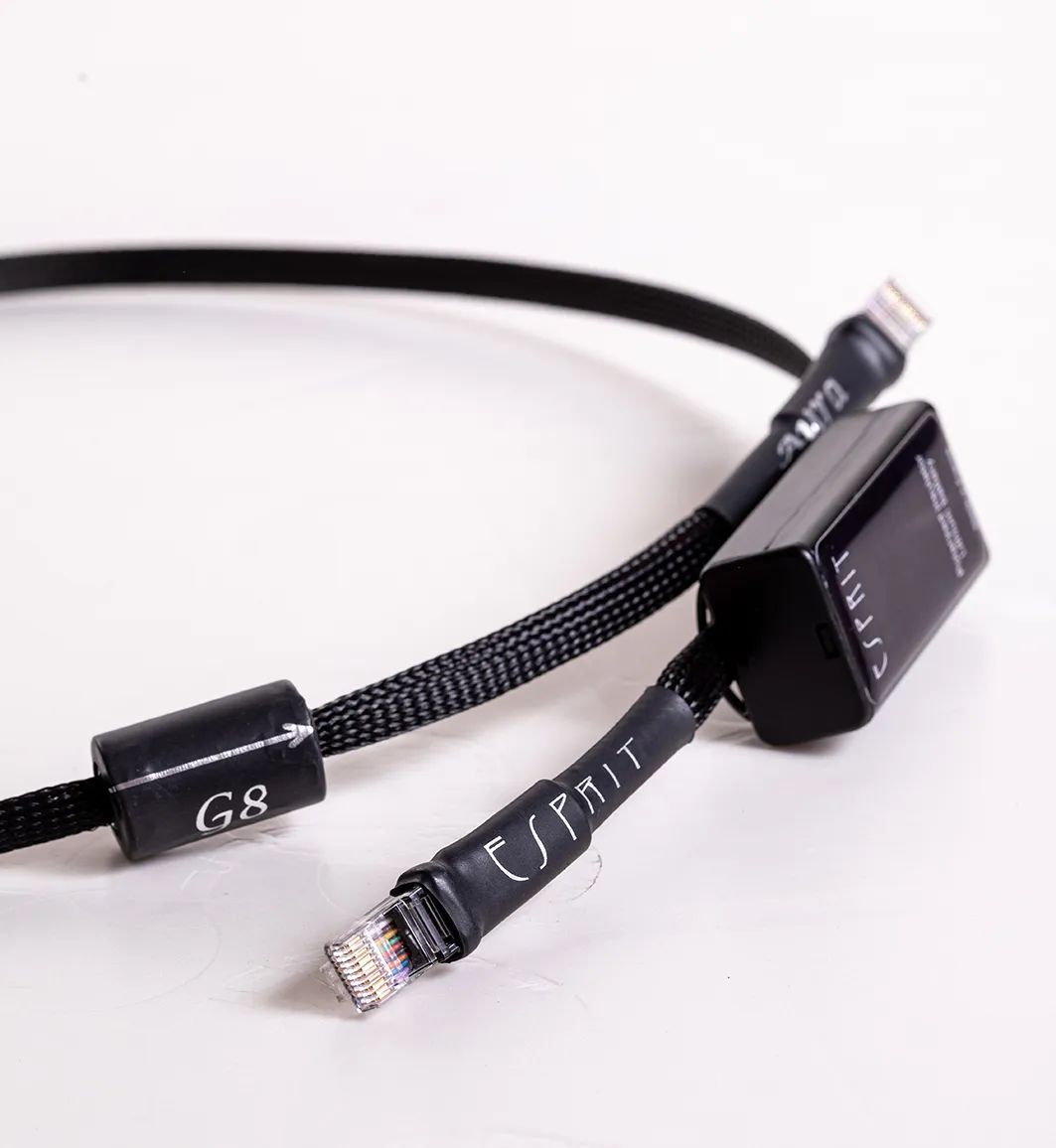 超级巨星中国演唱会,超级巨星回老家