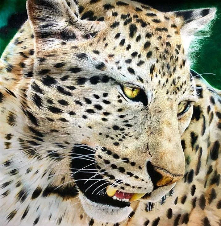 失明女孩铅笔画,手绘眼睛流泪铅笔画