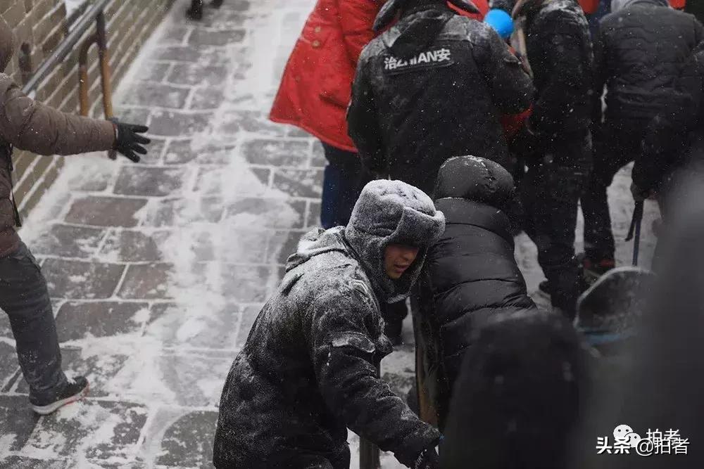 北京迎初雪9只熊猫,北京喜迎初雪去北京动物园看熊猫