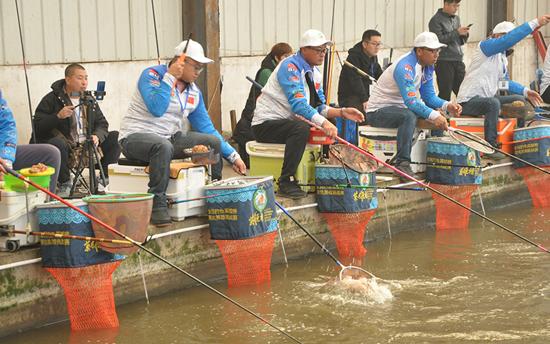 百万级钓鱼比赛,618钓鱼大赛