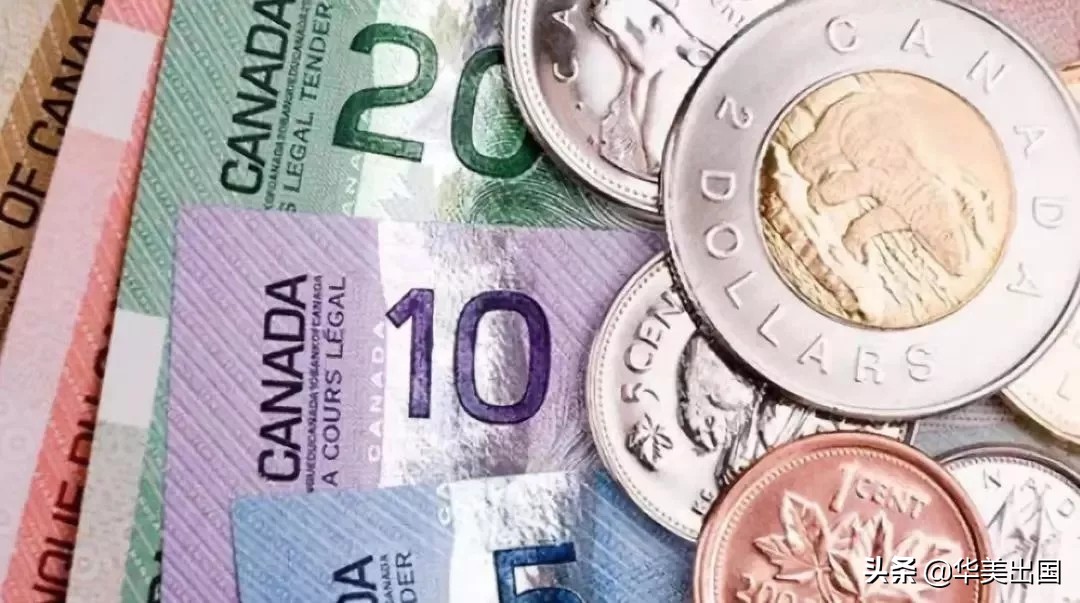 加拿大报税新政 (移民加拿大报税税率)