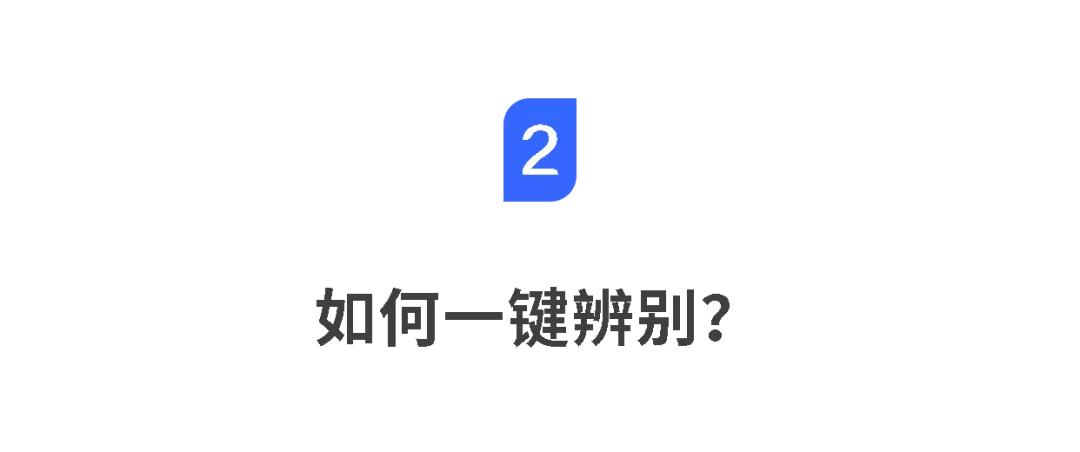 违法大巴,违规的大巴