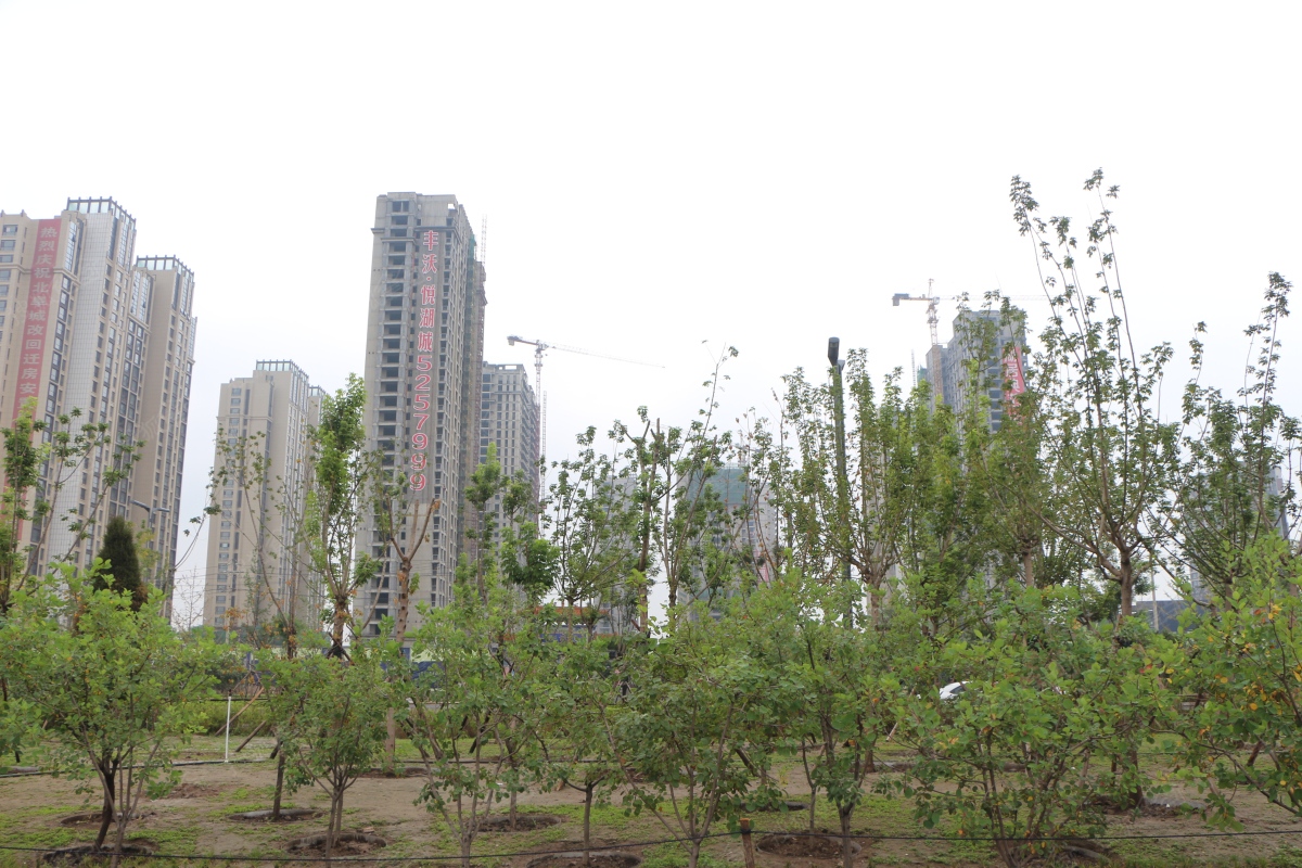 太原房价为什么跌这么多,太原房价暴跌真实吗