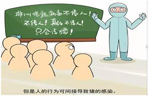 非洲猪瘟：“谈瘟色变”的时代，我们该教会孩子什么？