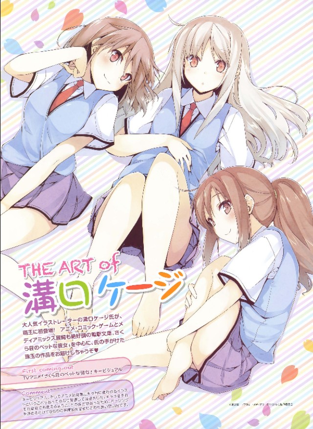 樱花庄的宠物女孩动漫解说,动漫樱花庄的宠物女孩精美图片