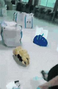 无线路由器搞笑图片,搞笑路由器视频大全