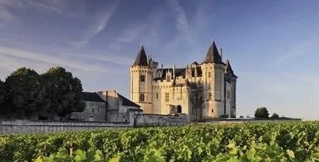 中国葡萄酒在中国市场的优劣,中国葡萄酒市场前景分析报告