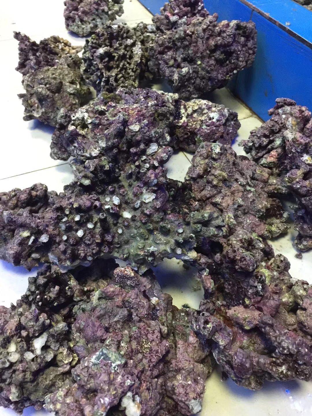 海缸都需要什么设备,海缸数值检测设备