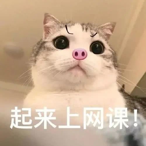 海外36名留学生确诊新冠肺炎,全国留学生确诊新冠肺炎