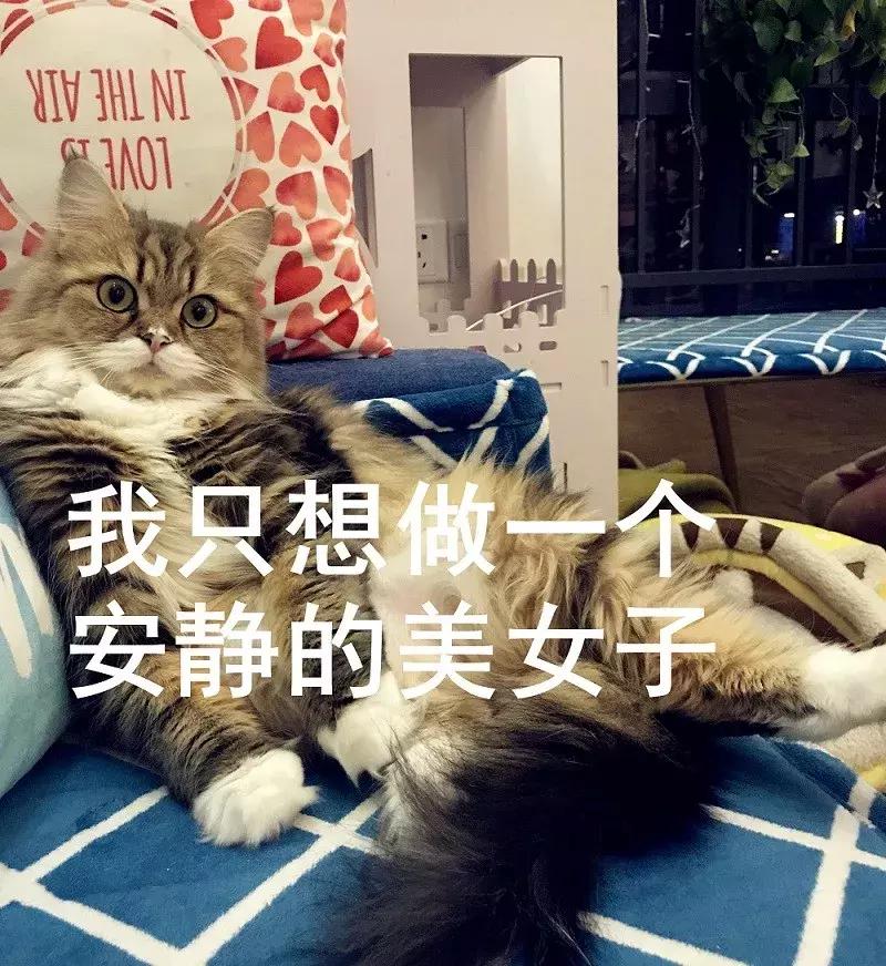 人家说是做会计的我怎么回答,别人问你工作做财务幽默回答