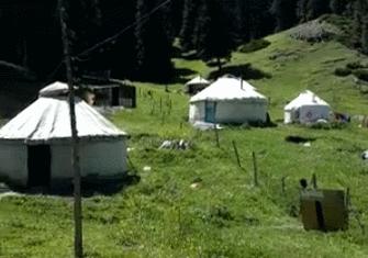 我花三块钱买了朋友圈人设服务，然后我的人设崩了