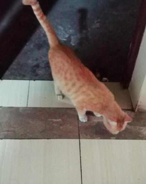 昆明滴滴司机真实生活,昆明滴滴司机一天的生活