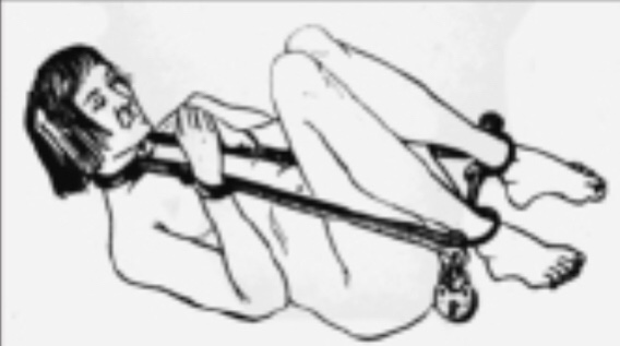 长见识啦深度解析,长见识了完整版视频