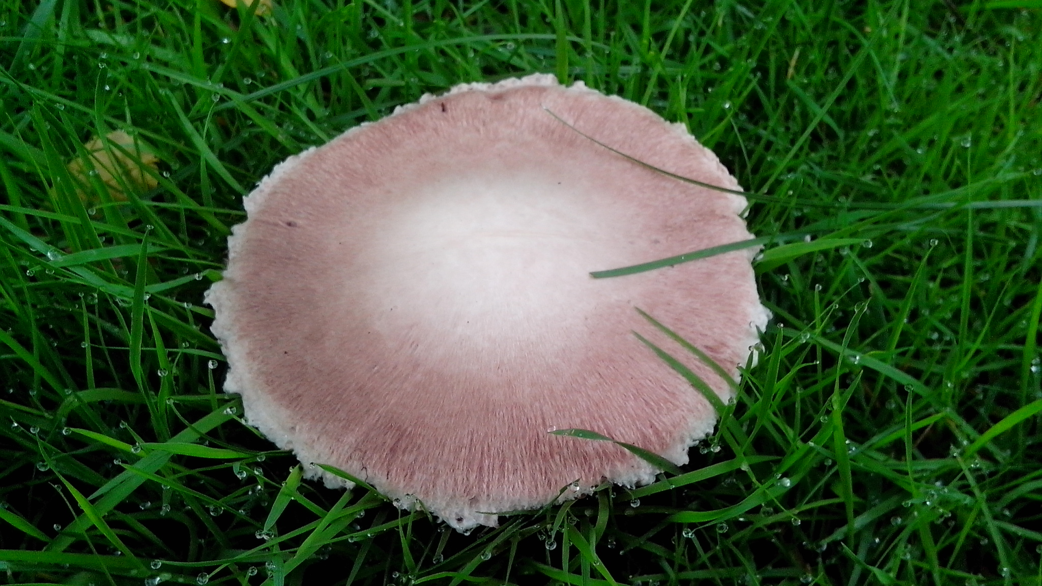 德国男人谨慎又开放，哪是真，哪是假，你怎么看？