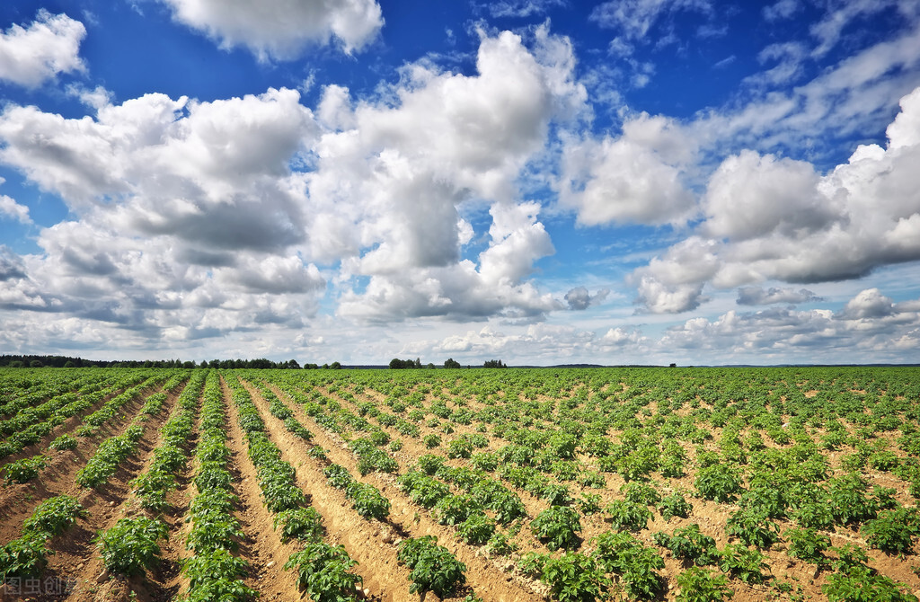 河南省平顶山市最新项目汇总,平顶山市第三批重点招商项目