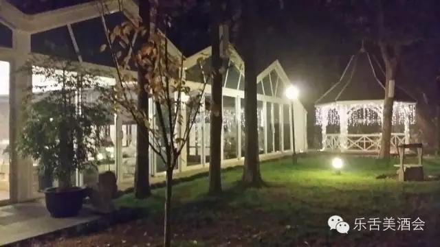 意大利西施佳雅系列 (西施佳雅怎么分辨真伪)