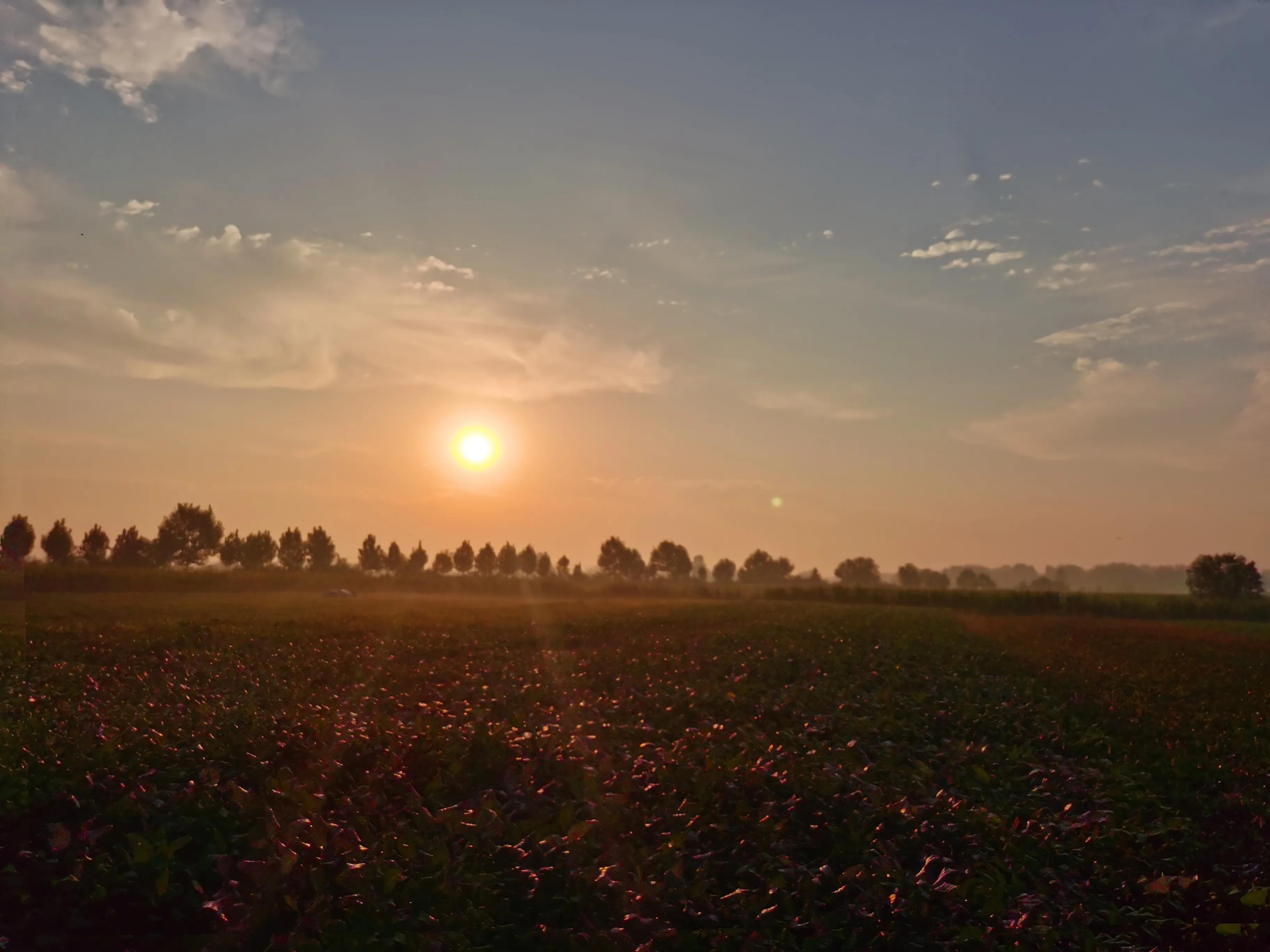 早上的天空真是治愈系,很治愈的一个早晨