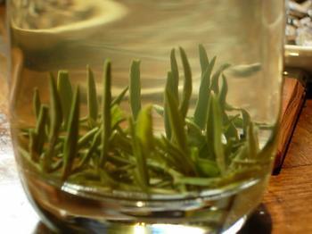 毛尖茶算是什么茶,鸠坑毛尖适合哪些人喝