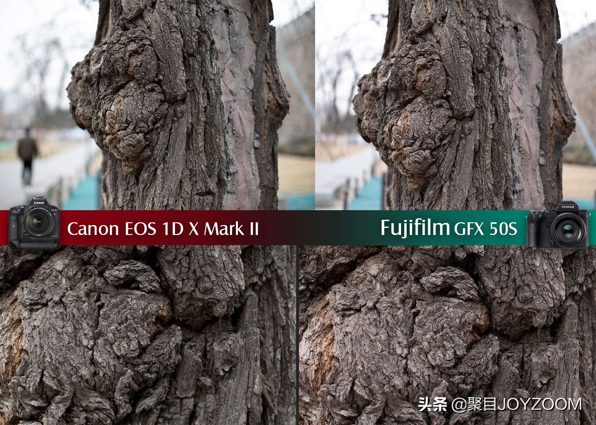 聚目体验丨底大一级真能压“死”人？佳能1DX2VS富士GFX50S