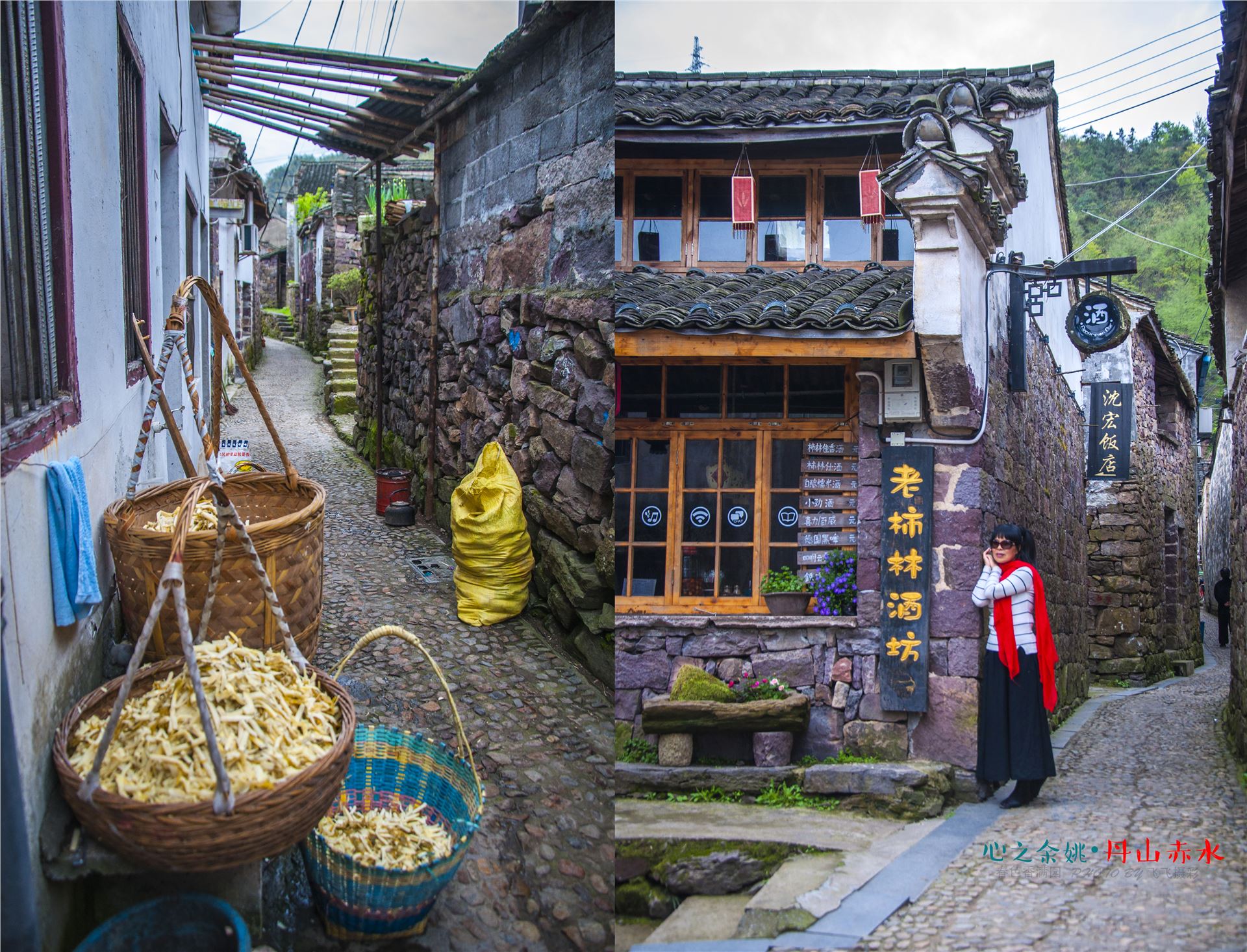 丹山赤水的老柿林景区,丹山赤水柿林古村
