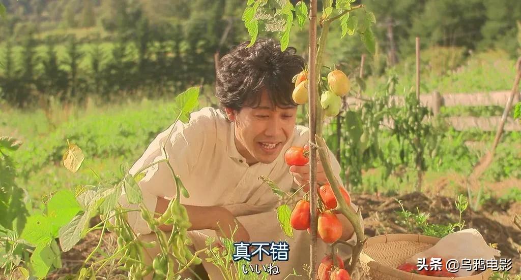 泪目！父亲离世后，她用爱和释怀，治愈了每一个过路人...