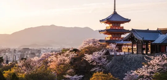 京都安缦多少钱,京都柏悦跟安缦